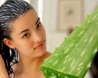 Trị rụng tóc, hói đầu siêu hiệu quả với lô hội