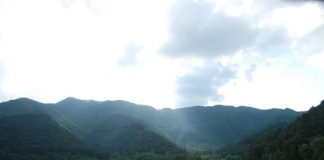 6 cánh rừng “cắm trại” thích hợp trong dịp 30/4 – 1/5