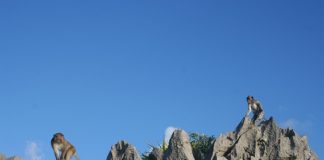 4 điểm du lịch hấp dẫn ít người biết ở Đông Bắc Việt Nam