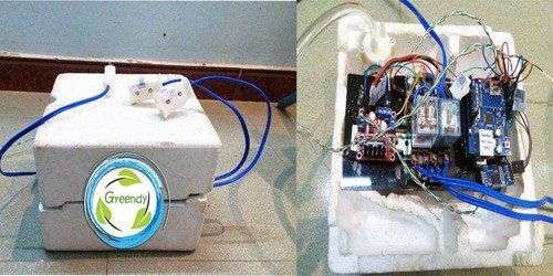 Sinh viên với dự án trồng rau không cần đất