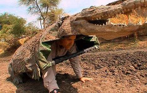 Giả cá sấu để nghiên cứu