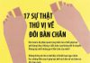 17 sự thật ít biết về bàn chân