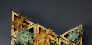 15 cách trang trí chậu cây nhỏ sáng tạo 