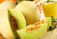 Trồng dưa lê phủ xanh ban công nhà bạn 1