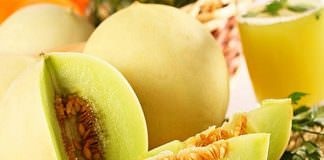 Trồng dưa lê phủ xanh ban công nhà bạn 1