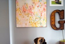 Những mẫu giường ngủ siêu dễ thương cho cún cưng trong gia đình bạn