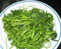 1gvnhl_5214_chamecuacon