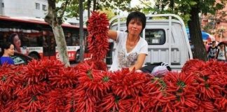 Bài học đối nhân xử thế từ người bán ớt