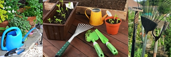 Hướng dẫn trồng rau mầm tại nhà, ngon sạch hết ý!