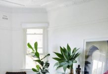 10 nơi thích hợp nhất để trồng các loại cây cảnh lớn