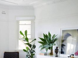 10 nơi thích hợp nhất để trồng các loại cây cảnh lớn