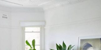 10 nơi thích hợp nhất để trồng các loại cây cảnh lớn