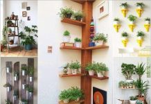 Vị trí hoàn hảo đặt chậu cảnh mini đẹp ấn tượng trong nhà 1