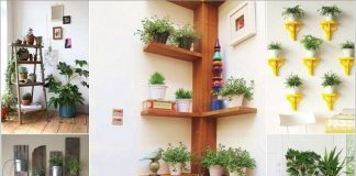 Vị trí hoàn hảo đặt chậu cảnh mini đẹp ấn tượng trong nhà 1