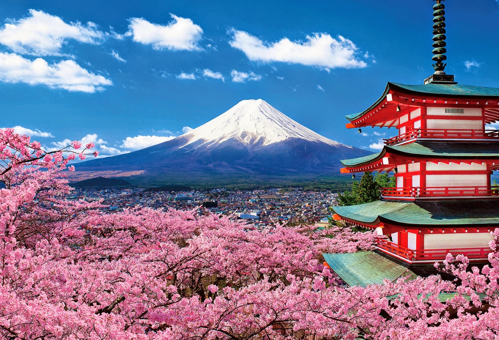 Những cảnh đẹp sẽ khiến bạn phải “kinh ngạc” khi đến Nhật Bản