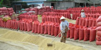 thuong-lai-tranh-nhau-mua-ma-non