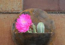 15 ý tưởng làm chậu hoa gắn tường mới lạ