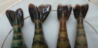 tôm, phân-biệt-tôm-hóa-chất, tôm-hóa-chất, tôm-bơm-hóa-chất, thực-phẩm, hải-sản,