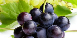 Những thức ăn kỵ nhau dễ gây tiêu chảy