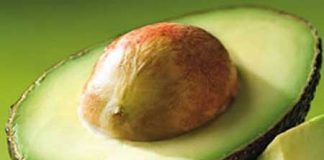 Giữ dáng cân đối bằng cách ăn trái bơ