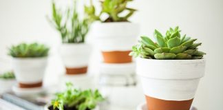 13 cách trang trí “hay ho” cho chậu hoa nhà bạn