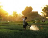 Các điểm du lịch trái mùa rẻ và đẹp nhất Việt Nam