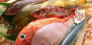 5 loại thực phẩm trong tủ lạnh giúp bạn đánh bay cân nặng - Ảnh 1