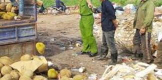 Hoảng vì nhiều thuốc cực độc được dùng để thúc chín và bảo quản trái cây