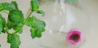 Nhẹ bụng với món chè khoai trân châu