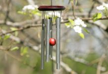 Tháng cô hồn: “Càng có nhiều lông chân thì ma quỷ càng ít dám đến gần” tháng cô hồn