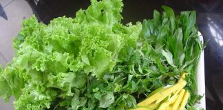 Top 5 thực phẩm càng ăn càng gầy