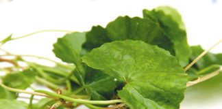 cách giải độc da 