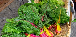 Trồng cải cầu vồng vừa ngon -  vừa bổ - vừa đẹp 1