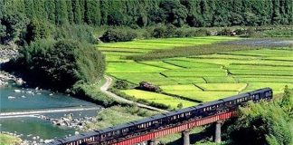 Seven Stars ở Kyushu (Nhật Bản): Chuyến tàu du lịch sang trọng này đi qua vùng núi đẹp của Kyushu và ghé ở Yufuin - nơi có suối nước nóng nổi tiếng.