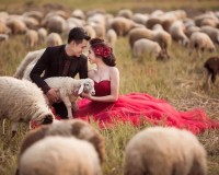 Trải nghiệm cuộc sống du mục tại “xứ cừu” Ninh Thuận