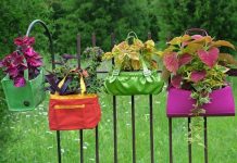 1001 ý tưởng “siêu việt” cho chậu cảnh trong vườn