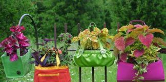 1001 ý tưởng “siêu việt” cho chậu cảnh trong vườn