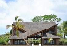 Chiêm ngưỡng vẻ đẹp mê hồn của “Cánh buồm trên cạn” trên đảo Madagascar