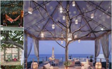 Những ý tưởng không thể 'làm ngơ' khi trang trí cây trong vườn