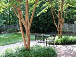 22 ý tưởng tạo bóng mát cho nhà bạn 1