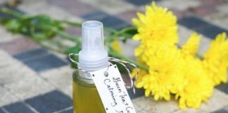 Bỏ túi 10 mẹo “lên đời” nhan sắc thần kỳ của trà xanh 