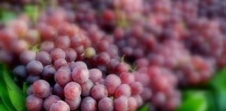 Điểm danh những loại trái cây ngậm nhiều hóa chất nhất