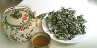 Giảm béo hiệu quả nhờ 5 loại thực phẩm thiên nhiên