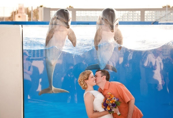 LSHPxu_24694_chamecuacon