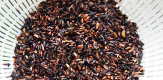 sữa chua nếp cẩm