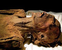 Phát hiện xác ướp chú chó 12.000 năm tuổi vẫn còn nguyên nội tạng