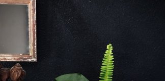 Tham khảo những cách cắm hoa khéo léo bằng bình thủy tinh