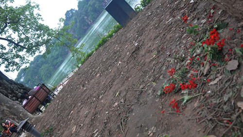 San phẳng vườn hoa trong đêm giao thừa ở Hà Nội - ảnh 4