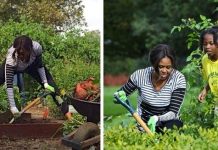 Ghé thăm vườn rau sạch của những lãnh đạo nổi tiếng thế giới