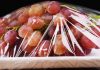 Bảo quản thực phẩm bằng cách dùng màng nilon bọc kín đang rất phổ biến